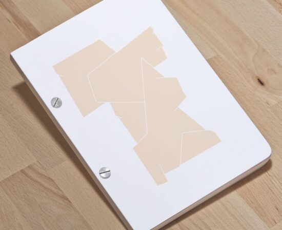 Original sculpture 013 - A5 screw post bound notebook - ultrashop