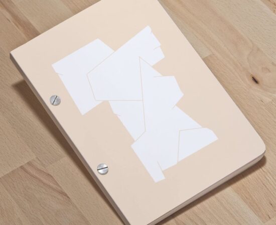 Original sculpture 014 - A5 screw post bound notebook - ultrashop